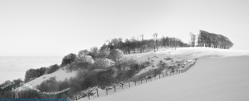 slides/Chanctonbury Hill in Snow.jpg chanctonbury hill,south downs national park,west sussex,hill fort,romans,trees,winter,blue sky,cold,white,black and white photograph,simon parsons,sussex landscape photography Chanctonbury Hill in Snow